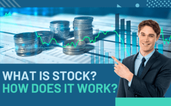 What is Stock?