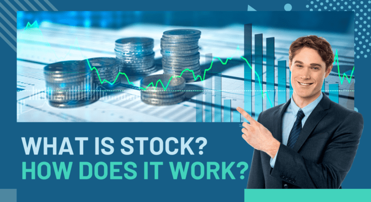 What is Stock?